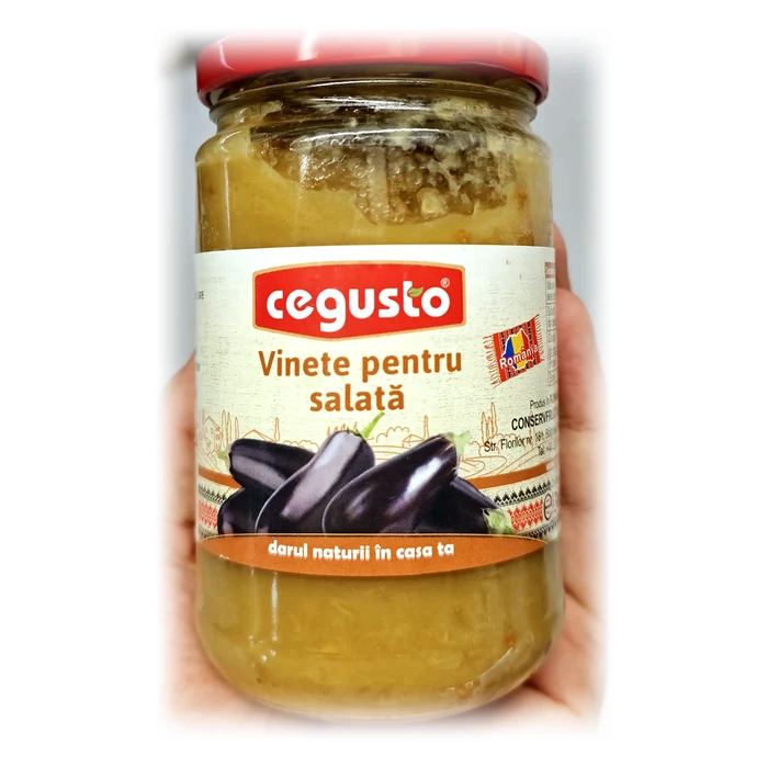 Cegusto Vinete pentru salată — melanzane arrostite da condire