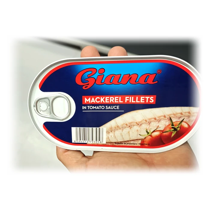 Giana Mackerel fillets in tomato sauce — filetti di sgombro in salsa di pomodoro